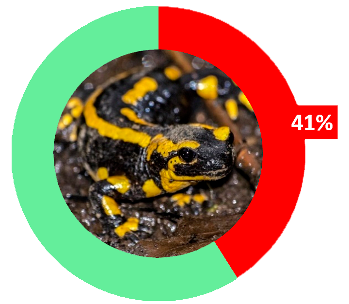 25% of amphibian species are endangered