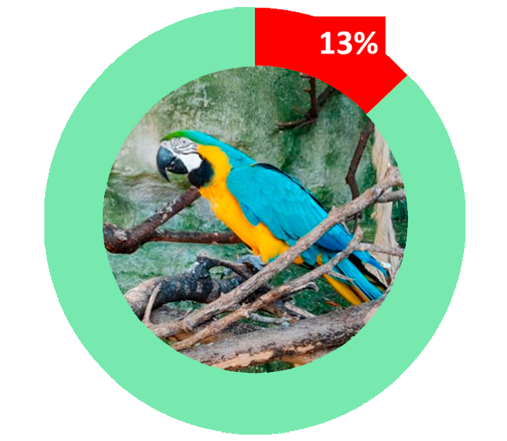 25% of bird species are endangered